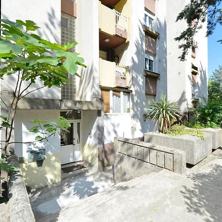 Unico Apartman 科托尔 外观 照片